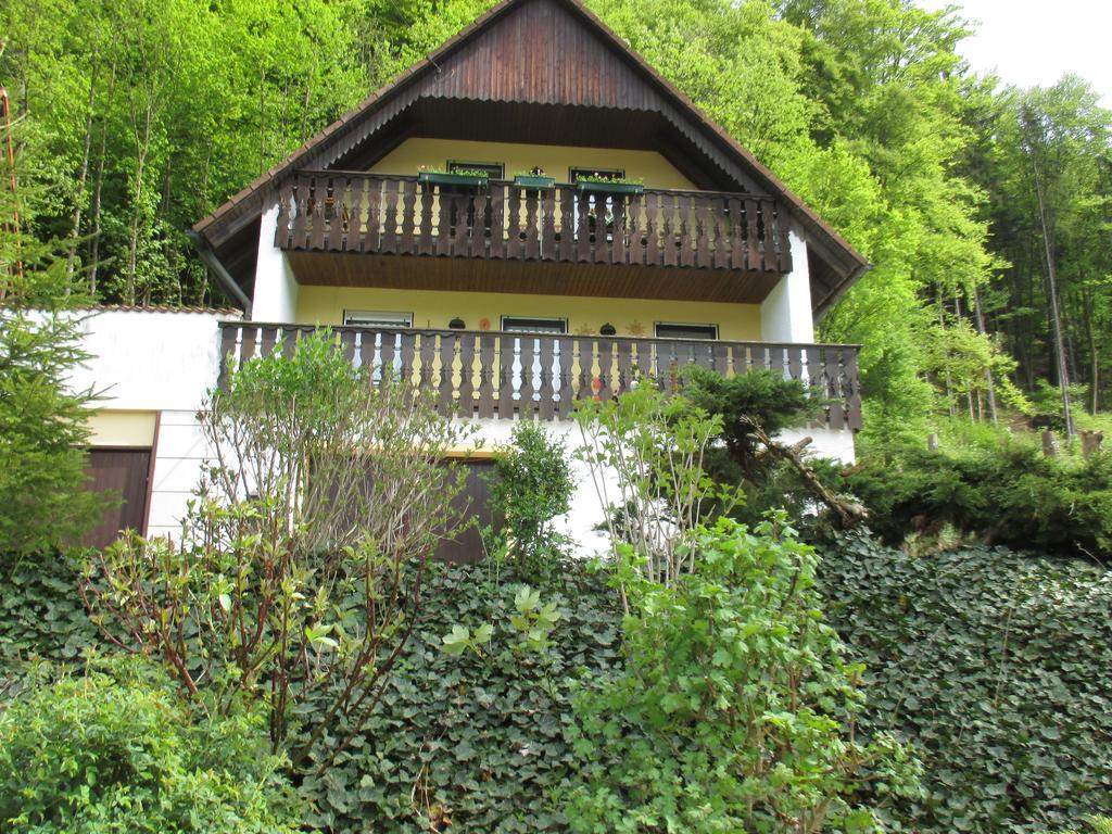Apartments In Behringersmuehle โกสไวน์ชไตน์ ภายนอก รูปภาพ
